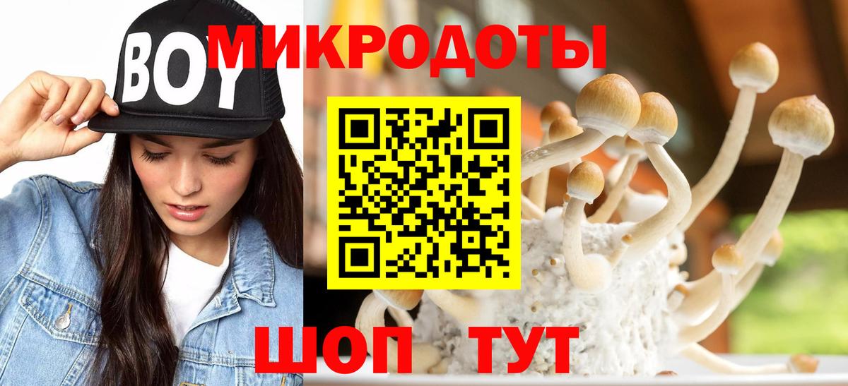 Междуреченск  Галлюциногенные грибы Cubensis  Псилоцибиновые грибы ЛСД  Вход с VPN 